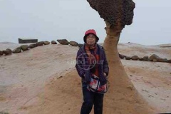 尚豪旅遊-台灣熱門旅遊景點,國外旅遊,高雄出發