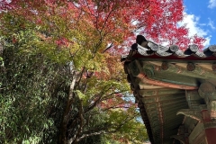 LINE_ALBUM_11.7-第4天_250328_103