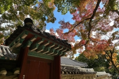 LINE_ALBUM_11.7-第4天_250328_104