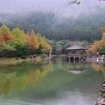 【 11/14～16 】北橫拉拉山、明池3日遊