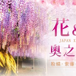 【2025/04/13-18】足立、海濱（公園）大内宿、山形、仙台 6日遊