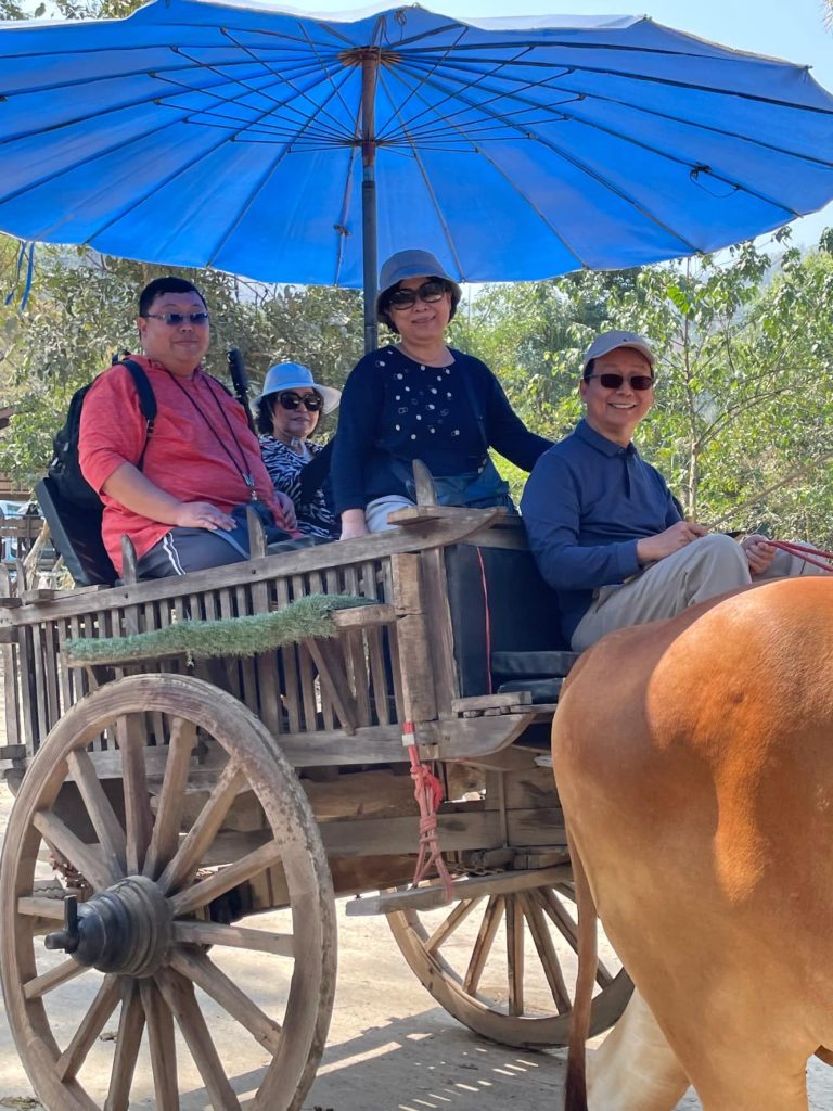 480062282 946350974314560 4310481015584509466 n