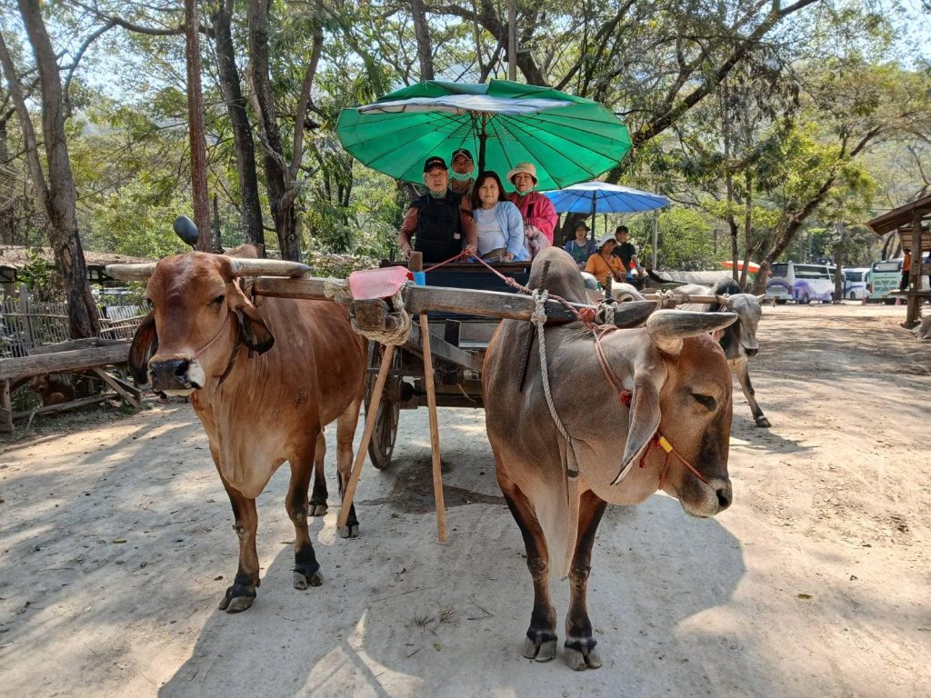 480193843 945977564351901 6798460575357337700 n