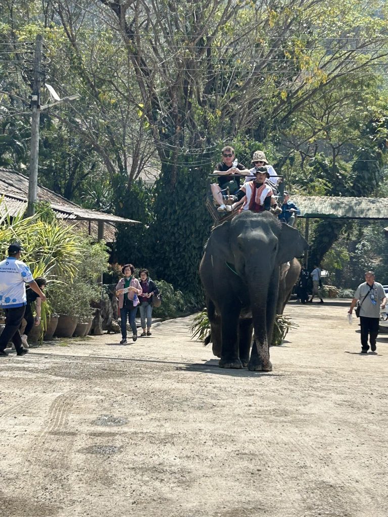 480196603 946353197647671 8121746512093189710 n