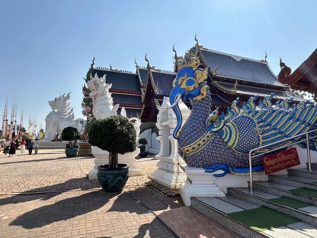 480242667 945977544351903 6390042886629211410 n