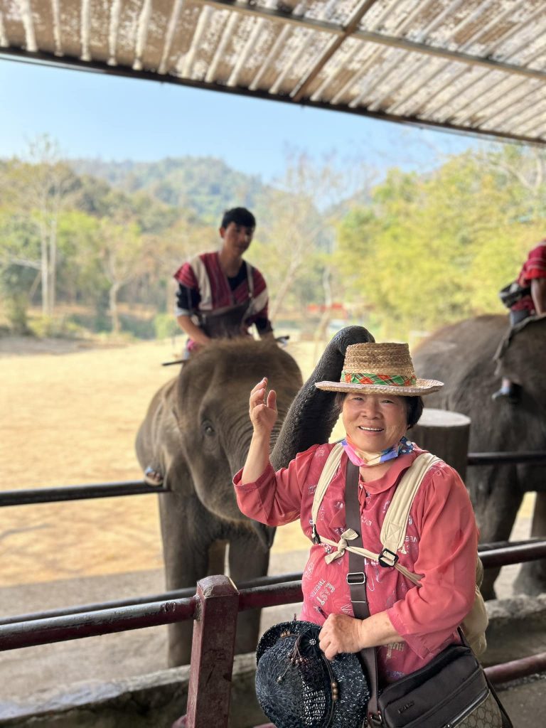 480253875 945976227685368 2028552828624156995 n