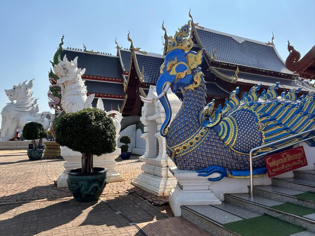 480260989 946352940981030 2944953681924119340 n