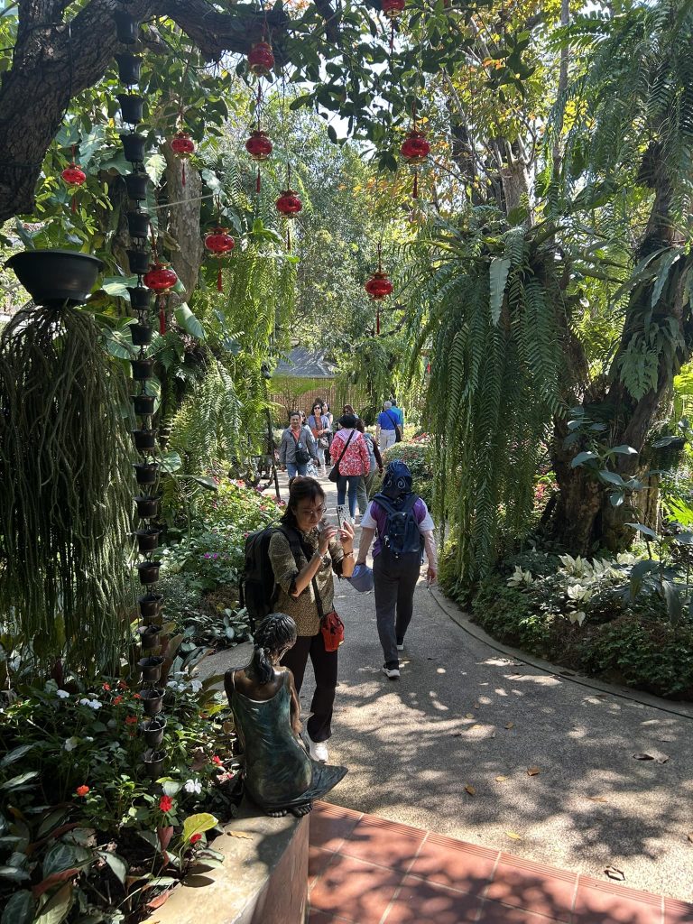 480265898 946352904314367 995243679518903072 n