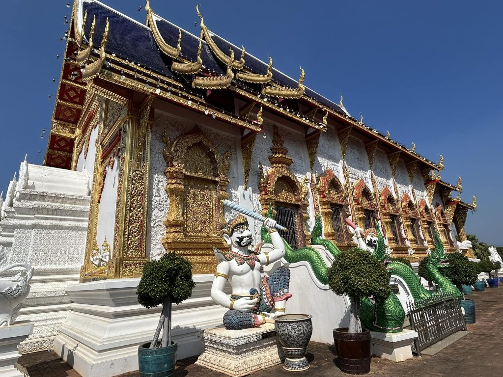 480290876 945977247685266 2593847276582015740 n