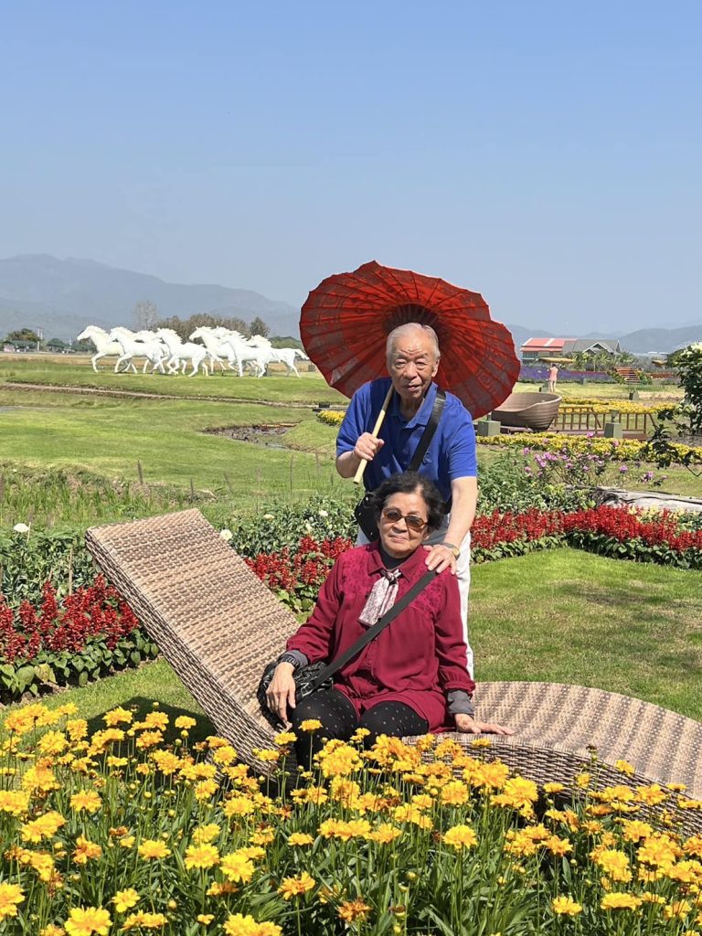 480310785 946351087647882 7269339072582488153 n