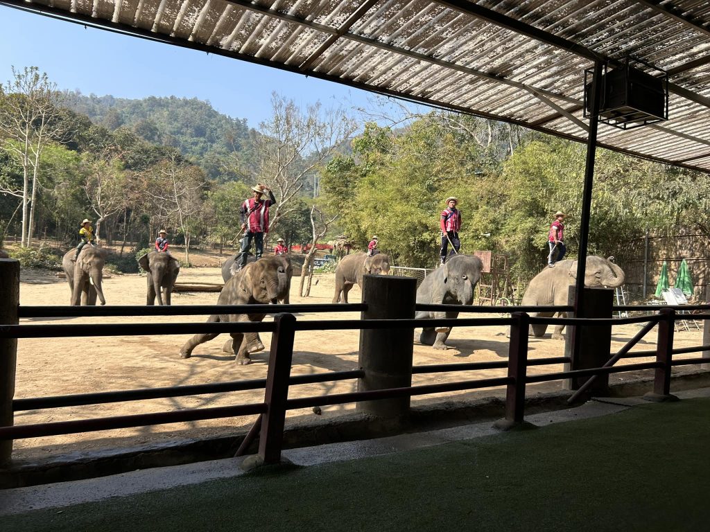 480332245 945976361018688 8032051989021443792 n