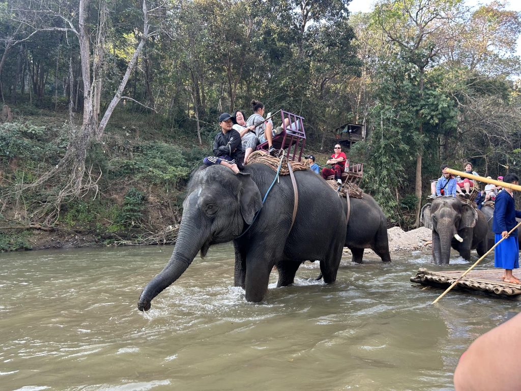 480512740 945976154352042 7365642723884754689 n