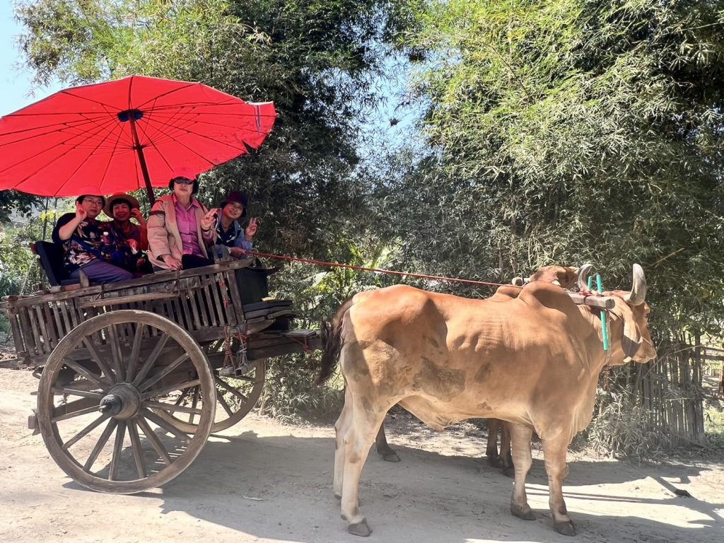 480563656 945977657685225 225846477575042995 n