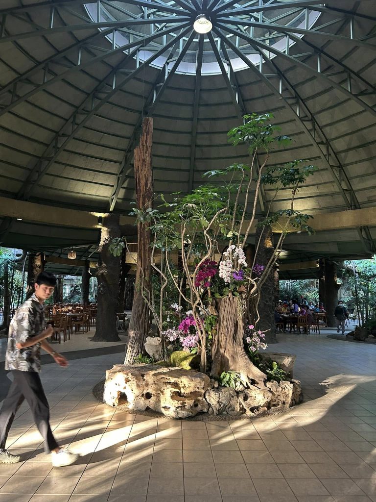 480668962 949819343967723 4785365113525930903 n