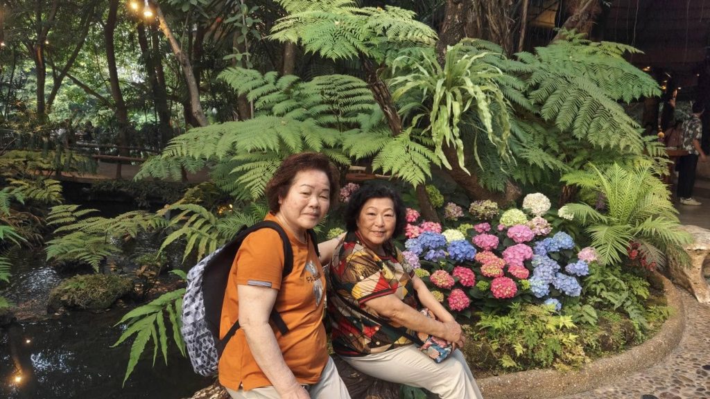 480944121 949820927300898 9195568614883847154 n