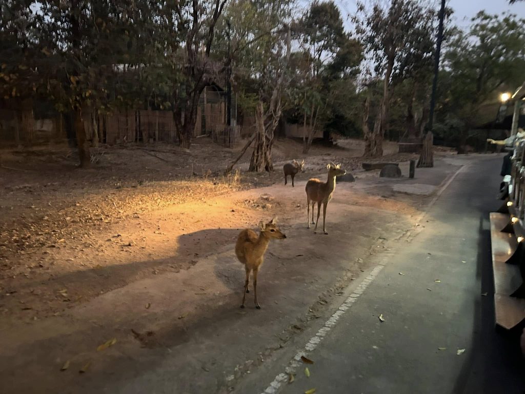 481238949 949820490634275 6529598220344886873 n